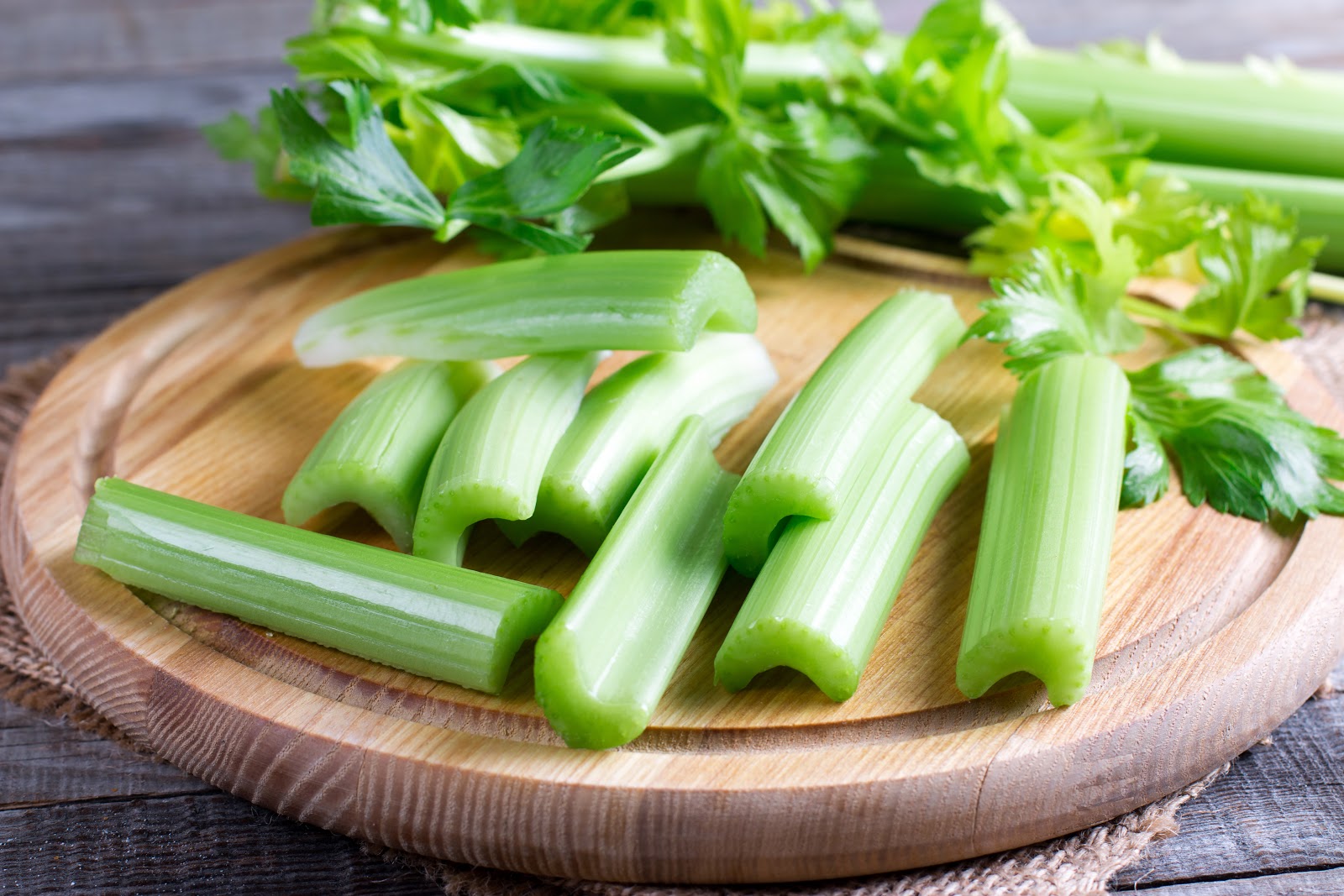 Can Dogs Eat Celery The Benefits of Celery for Dogs Pet Honesty