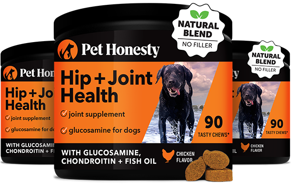 Same supplement for dogs fashion