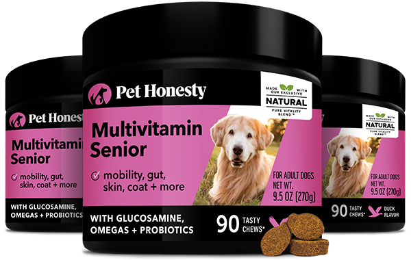 Dog multivitamin outlet supplements