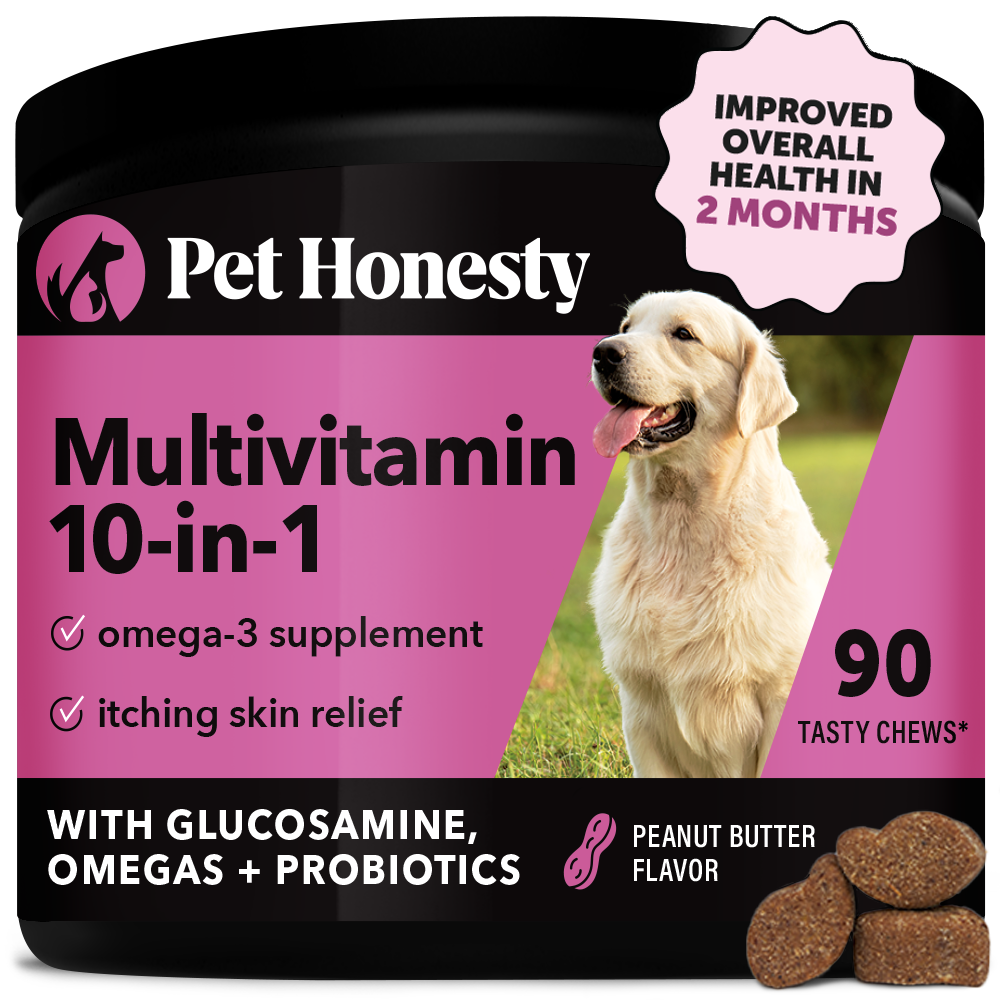 Best multivitamin for dogs hotsell