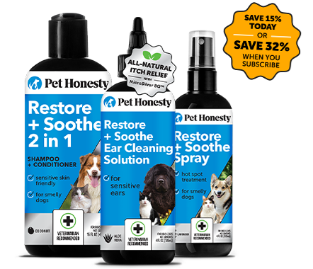 Dog grooming outlet essentials