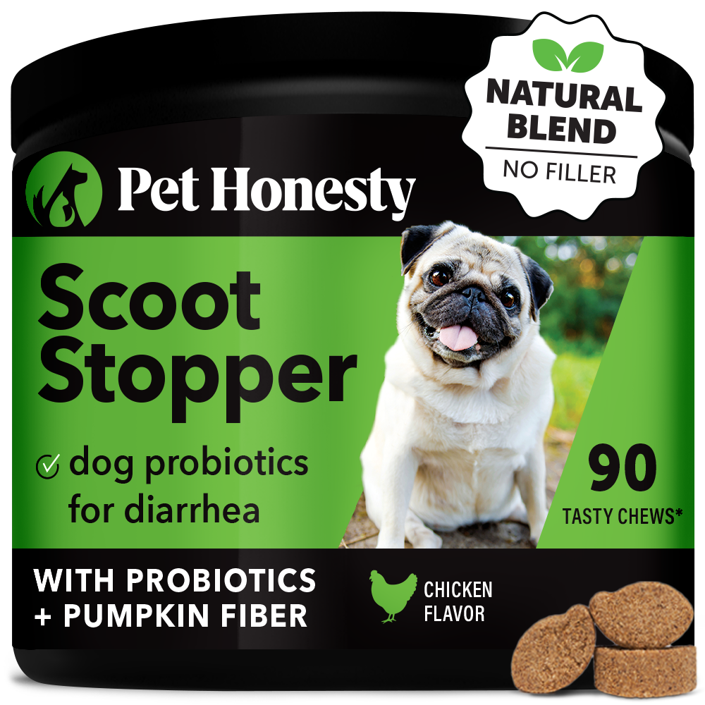 Scoot Stopper Chews for Dogs Pet Honesty