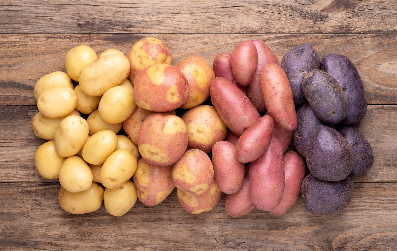 Can Dogs Have Potatoes? Here’s Your Answer