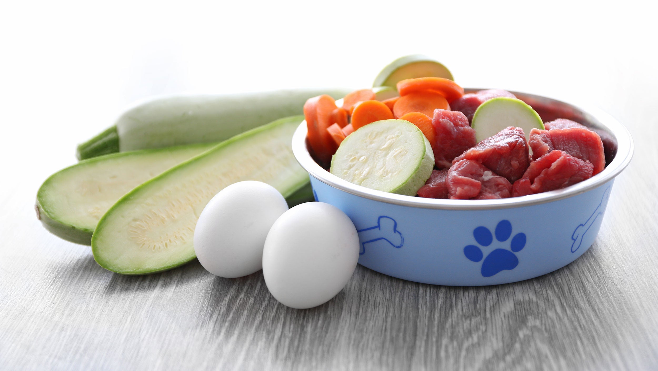 A Short-Hand Guide to The Best Nutrition for Your Dog