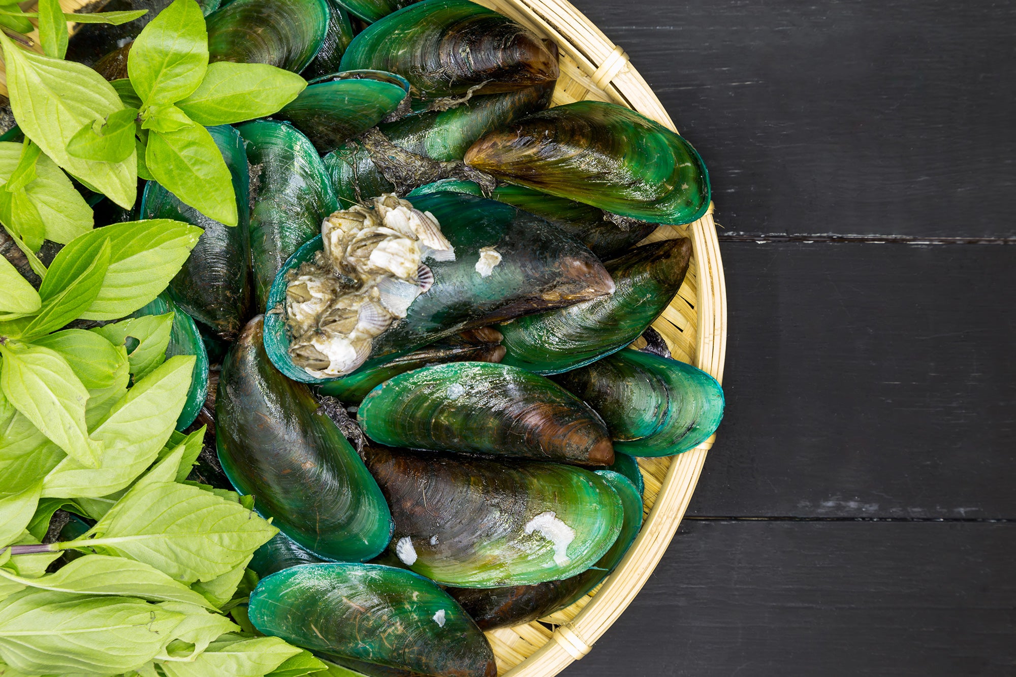 Green-Lipped Mussels for Dogs