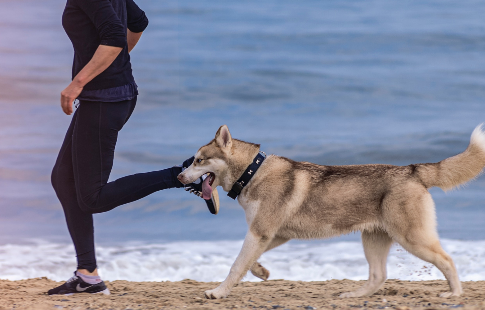 Running with your dog.