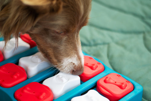 Petfun Snuffle Mat for Dogs - Interactive Feed Mat/Treat Puzzle