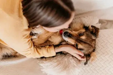 Calming Products to Help Your Dog  - woman petting dog picture