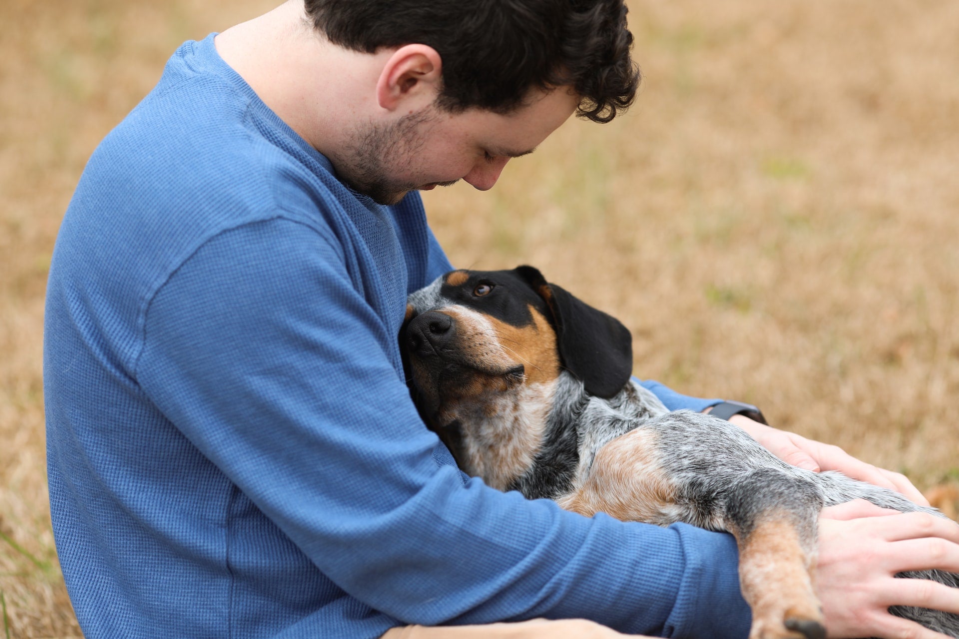 Can Pets Sense Our Emotions?