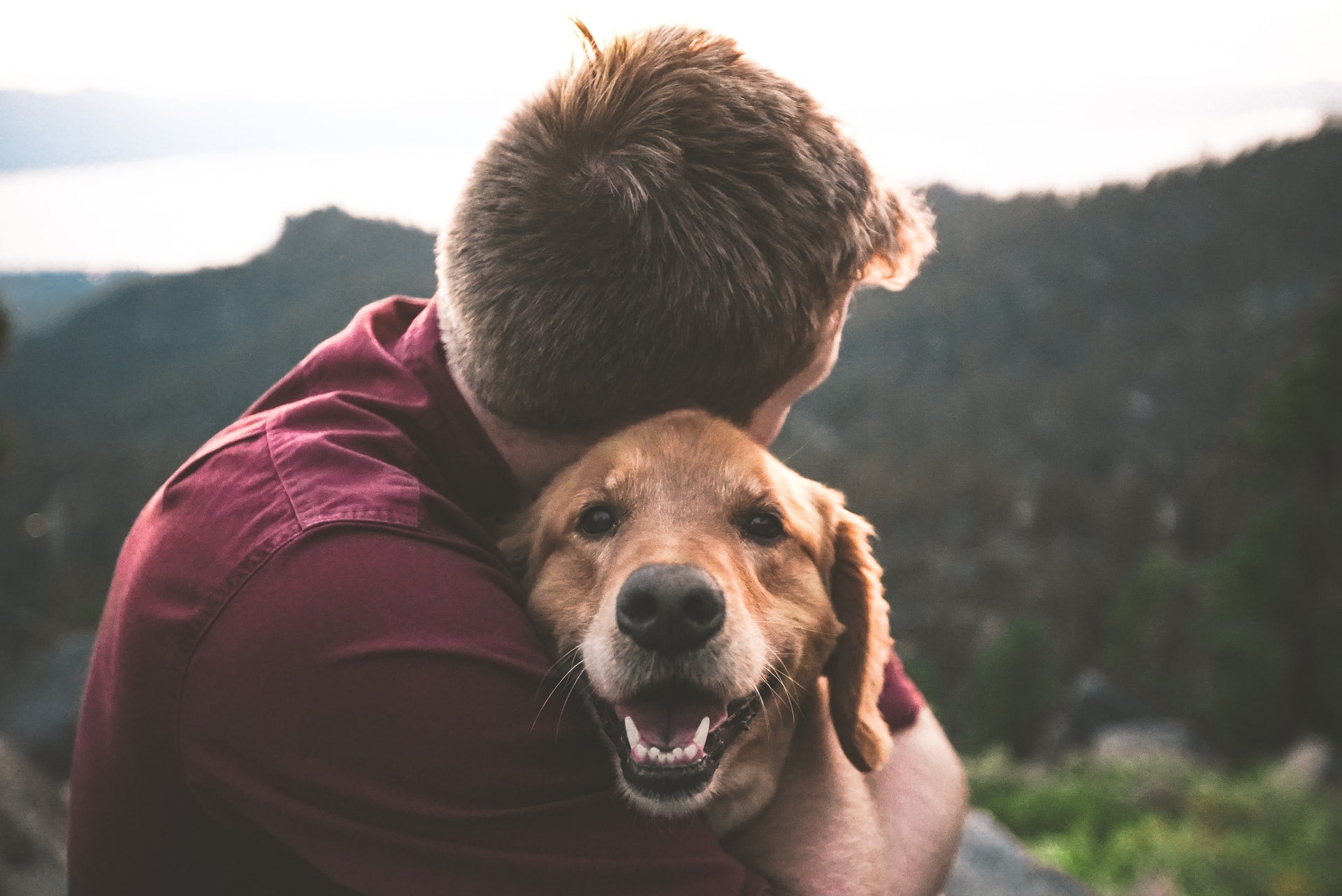 Man in red shirt hugging golden lab