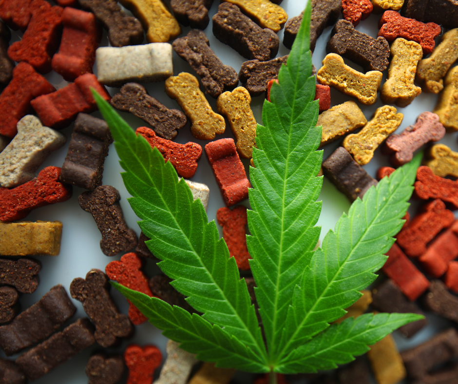 Hemp leaf and dog treats