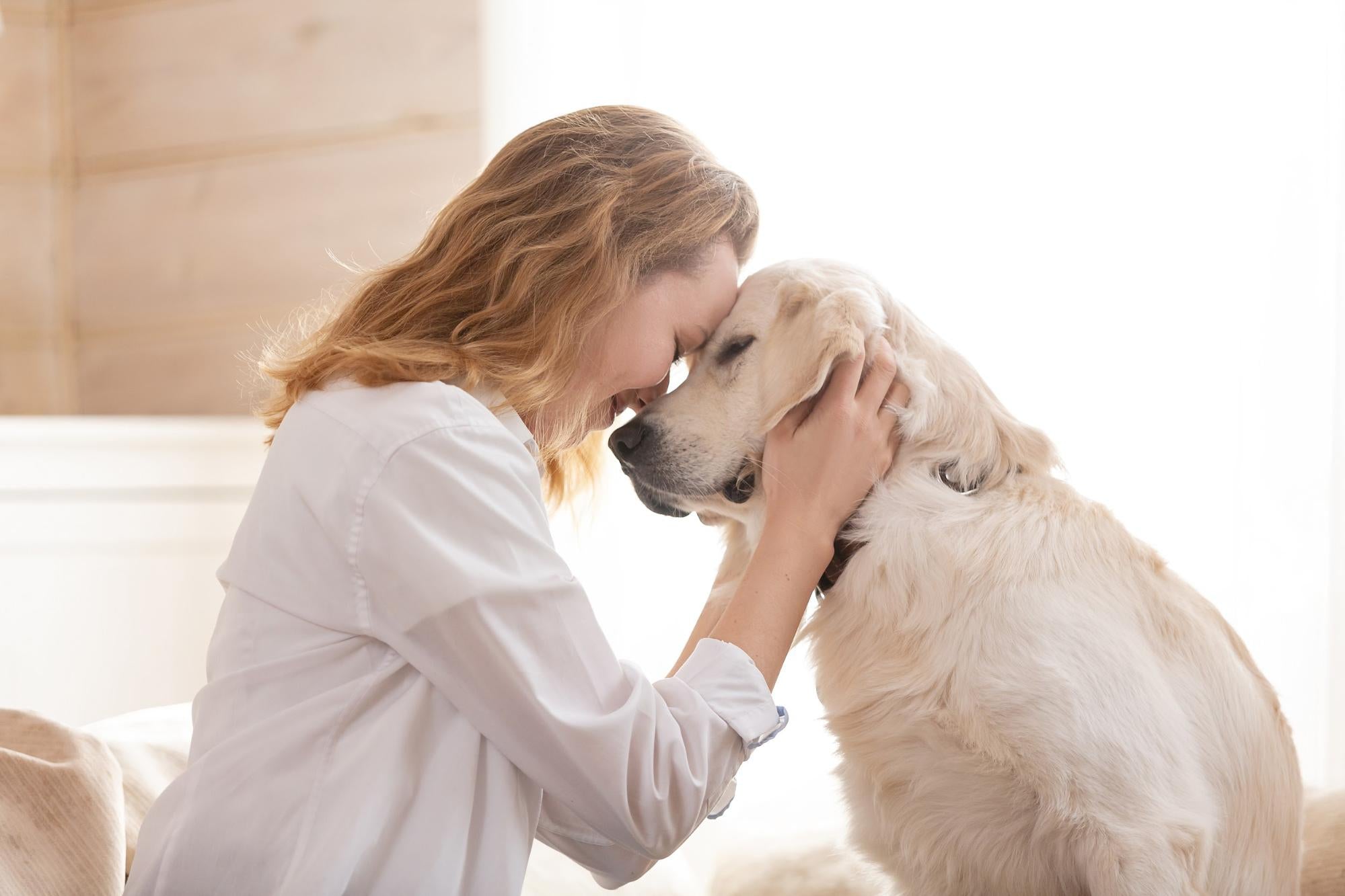 How Long Do Dogs Live? The Main Differences Among Breeds