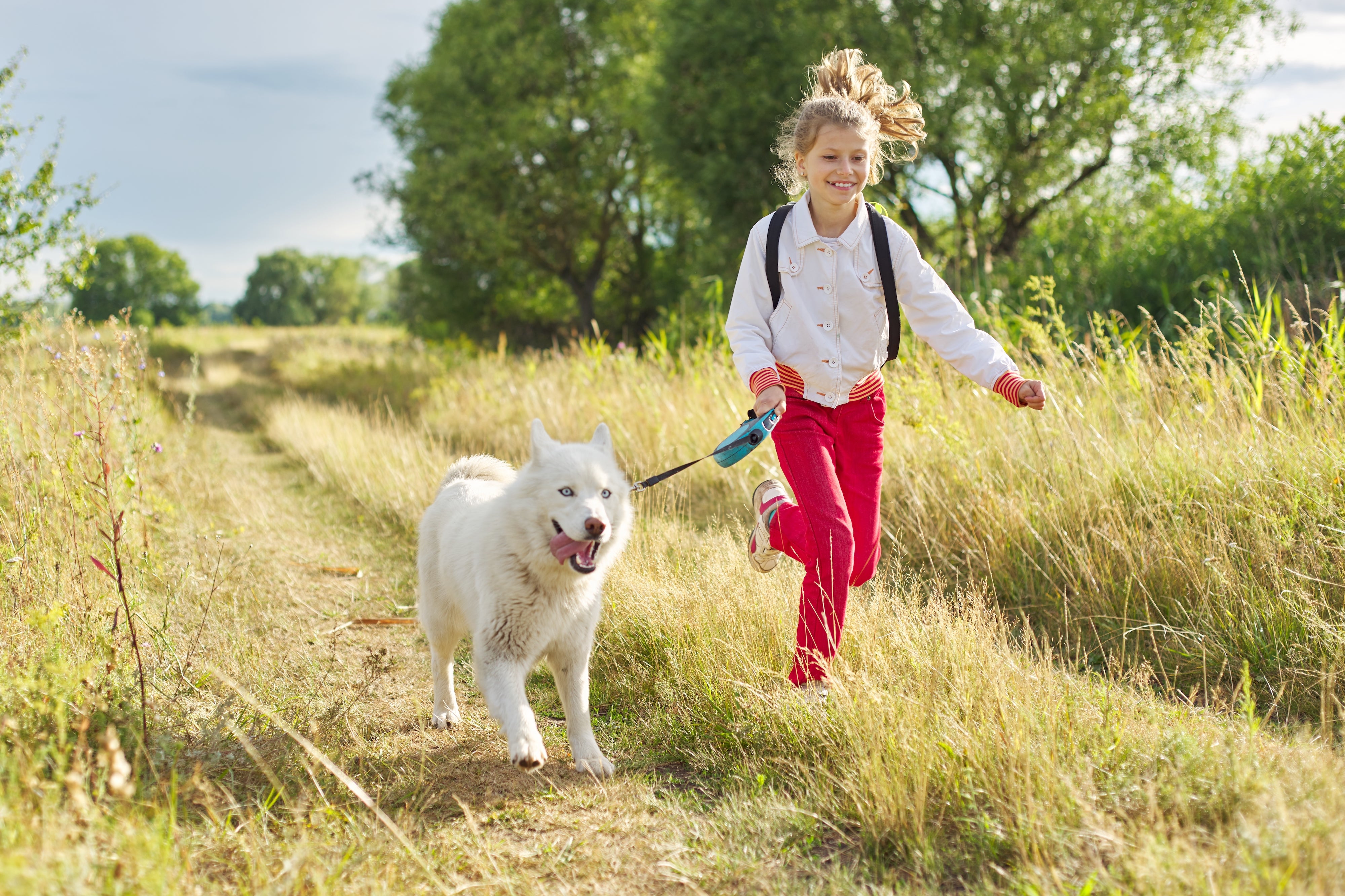 Ways Dogs Express Love