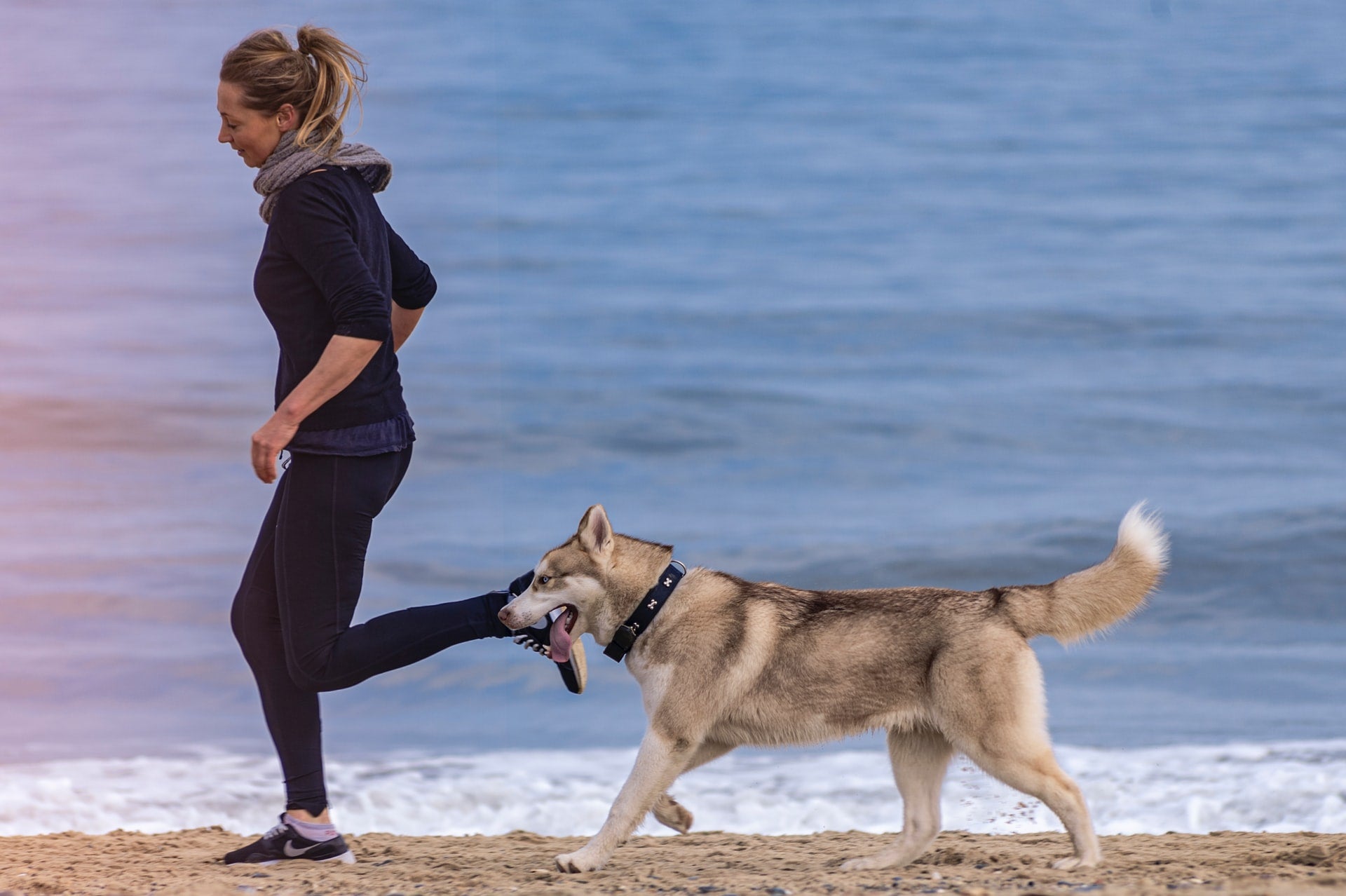 Running With Your Dog: Tips to Make it Fun for Both of You