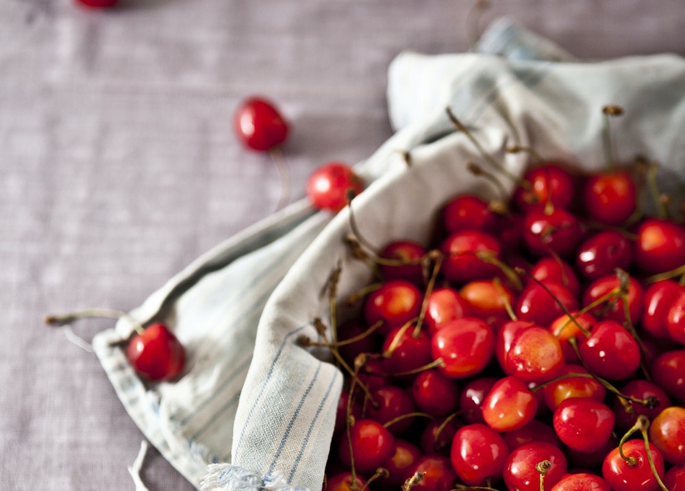 Answering Berry Important Inquiries: Can Dogs Eat Cherries?