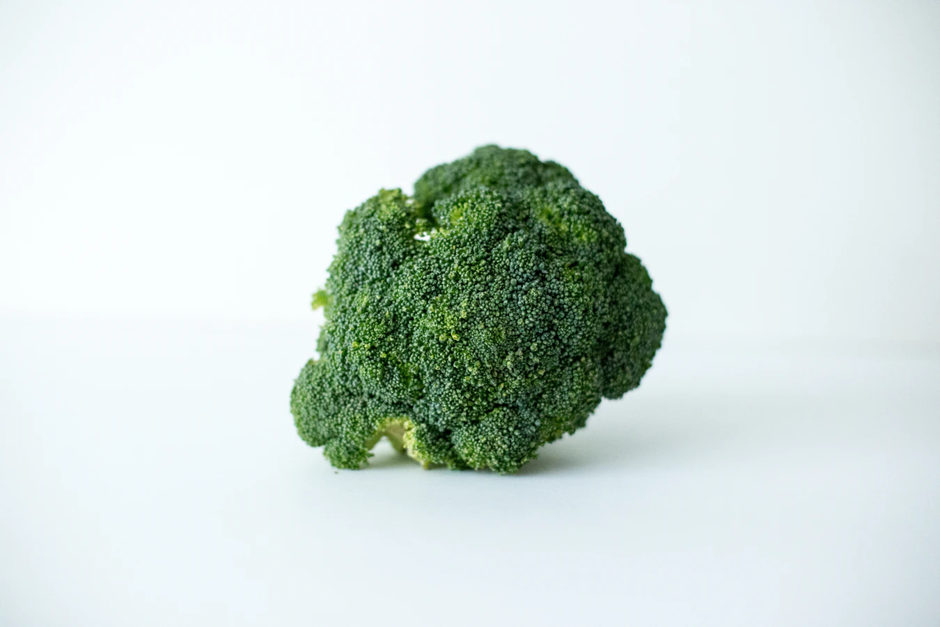 Can Dogs Eat Broccoli? Find Out If This Crucifer Is Safe for Your Dog