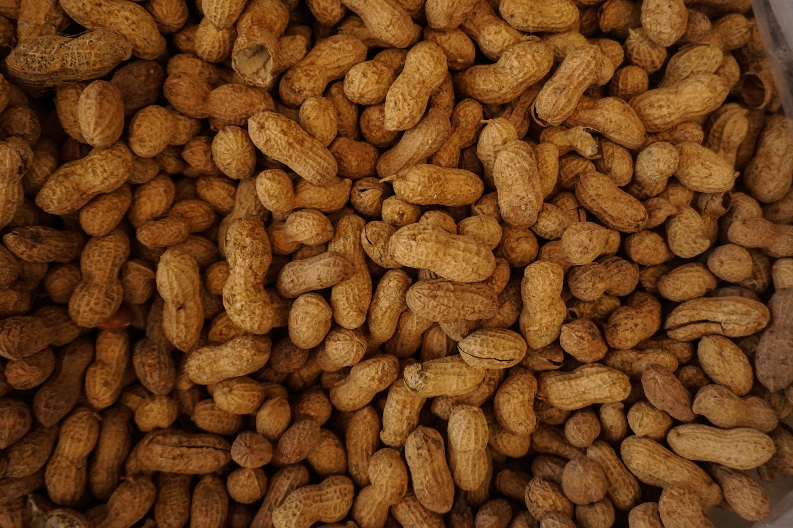 Can Dogs Eat Peanuts? Yes, but Don’t Go Nuts