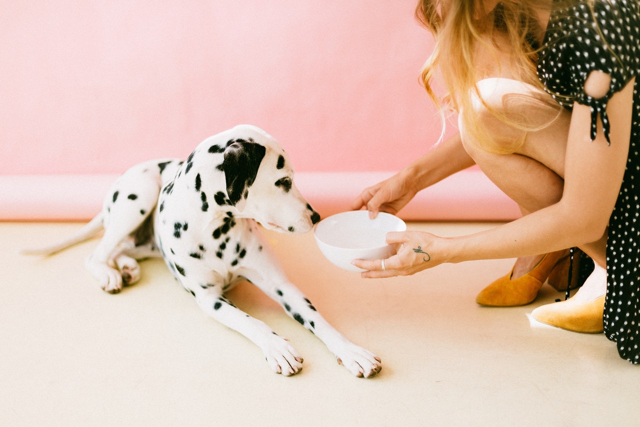 How to Entice Your Picky Eater to Enjoy Mealtime