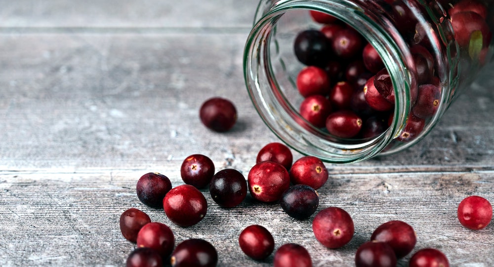 Can Dogs Eat Cranberries?