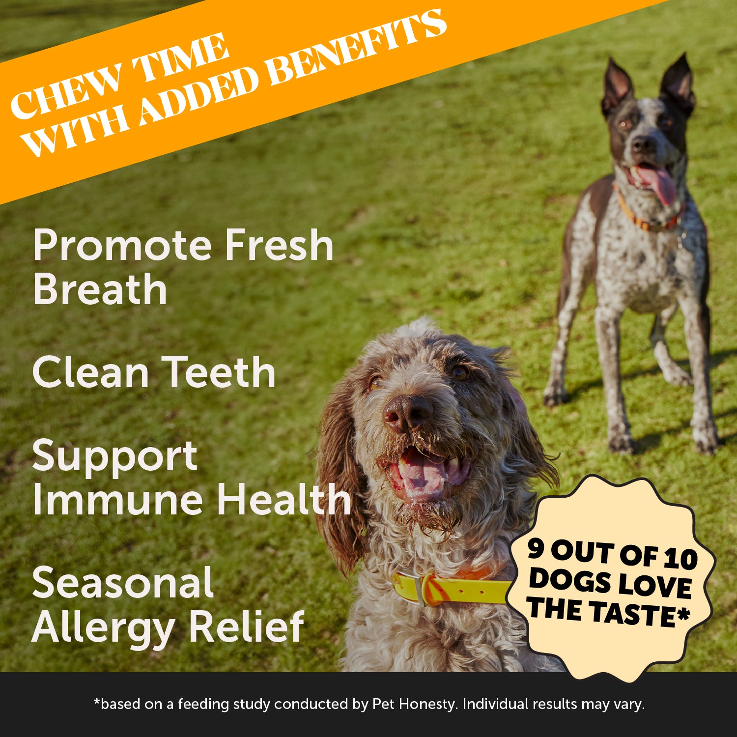 Allergy Support Fresh Sticks 30 Count PetHonesty Pet Honesty