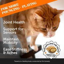 Dual Texture Hip & Joint Supplement for Cats 3-Pack (Chicken Flavor)