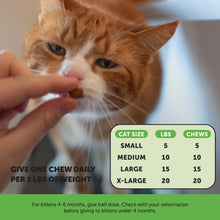 Dual Texture Probiotics Gut + Immune Health Supplement for Cats 3-Pack (Chicken Flavor)