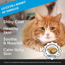 Dual Texture Skin & Coat Health Supplement for Cats 3-Pack (Chicken Flavor)