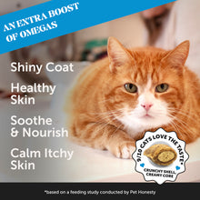 Dual Texture Skin & Coat Health Supplement for Cats 3-Pack (Chicken Flavor)