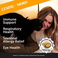 Cat Immune Support Lysine Single-Pack