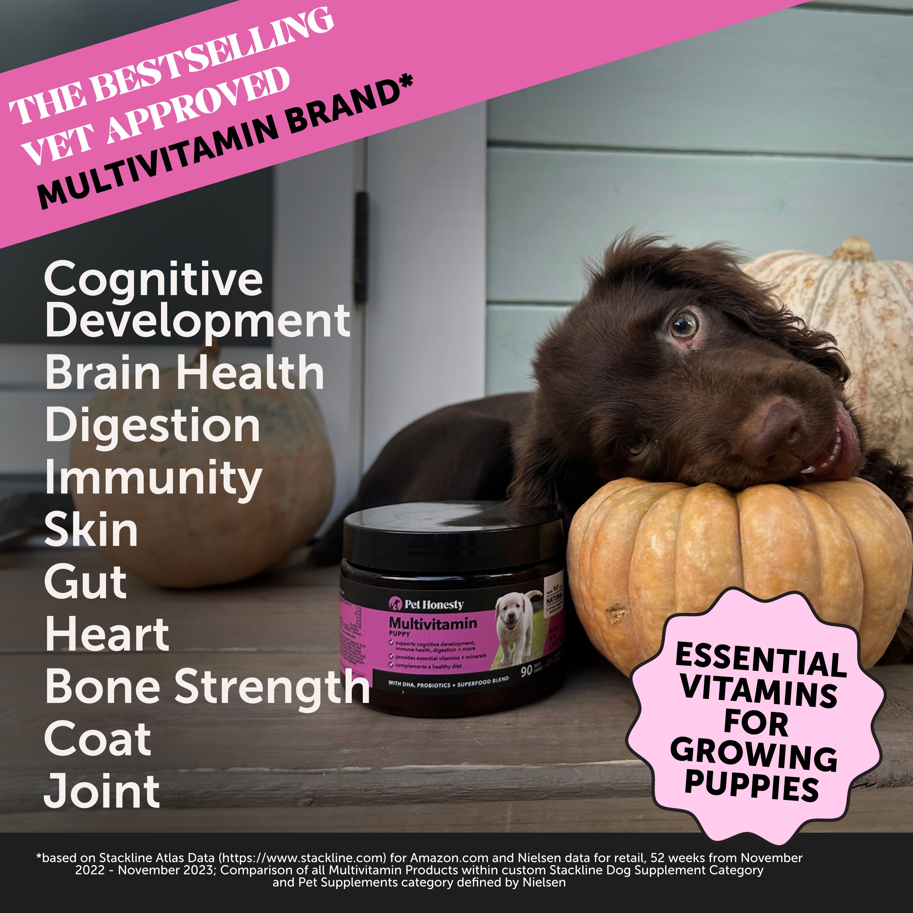 Puppy vitamin supplements best sale