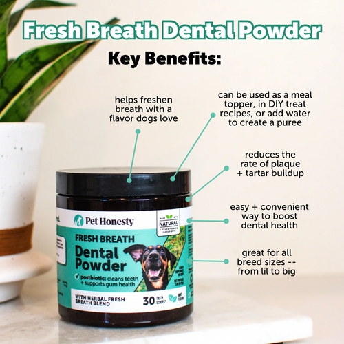 Dental Powder for Dogs | Pet Honesty