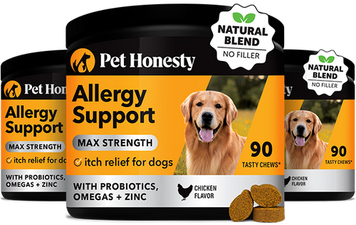 Allergy medicine for pregnant dogs best sale