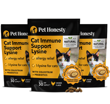Immune Support Lysine Dual texture chews 3-pack