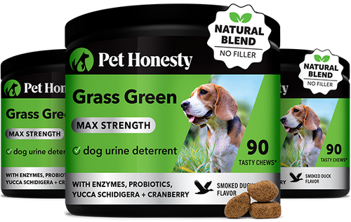 Grass Green Max Strength (Duck Flavor) 3-Pack PetHonesty