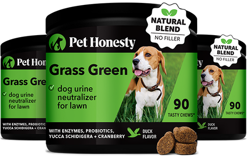 Grass Green 3-Pack (Duck Flavor) 3-Packs PetHonesty