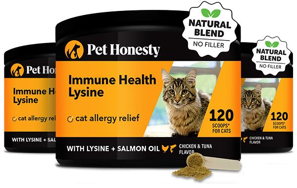 Immune Health Lysine Powder for Cats (3-Pack) | Pet Honesty