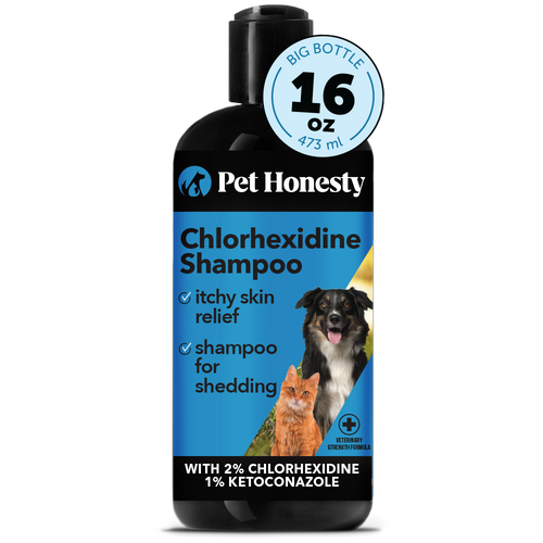 Chlorhexidine Shampoo single PetHonesty