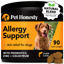 Allergy Support (Salmon Flavor) Single PetHonesty