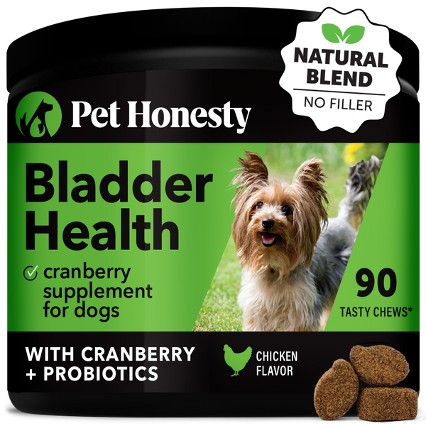 Bladder support hot sale for dogs