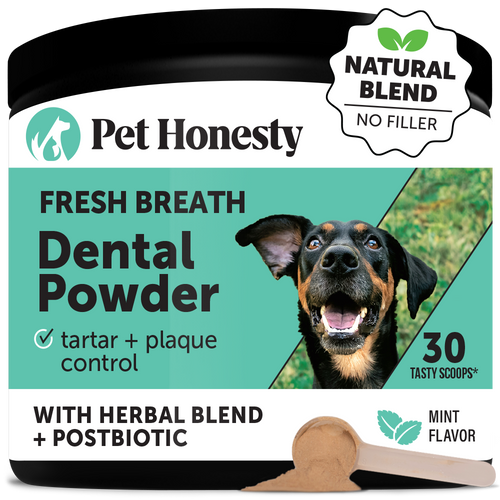 Dental Powder 30 Scoops Single PetHonesty